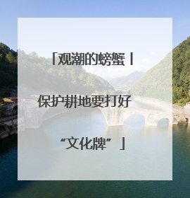 观潮的螃蟹丨保护耕地要打好“文化牌”