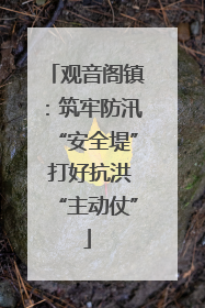 观音阁镇：筑牢防汛“安全堤” 打好抗洪“主动仗”