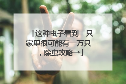 这种虫子看到一只家里很可能有一万只，除虫攻略→