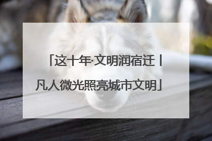 这十年·文明润宿迁丨凡人微光照亮城市文明
