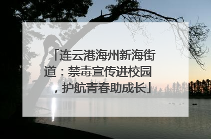 连云港海州新海街道：禁毒宣传进校园，护航青春助成长