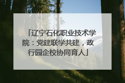 辽宁石化职业技术学院：党建联学共建，政行园企校协同育人