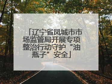 辽宁省凤城市市场监管局开展专项整治行动守护“油瓶子”安全