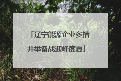 辽宁能源企业多措并举备战迎峰度夏