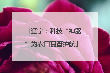 辽宁：科技“神器”为农田夏管护航