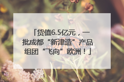 货值6.5亿元，一批成都“新津造”产品组团“飞向”欧洲！