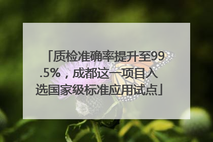 质检准确率提升至99.5%，成都这一项目入选国家级标准应用试点