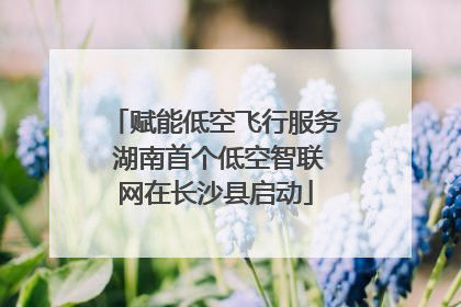 赋能低空飞行服务 湖南首个低空智联网在长沙县启动