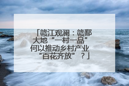 赣江观澜：赣鄱大地“一村一品”何以推动乡村产业“百花齐放”？