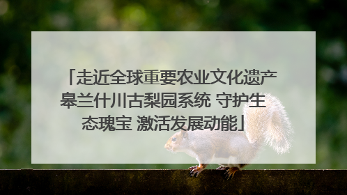 走近全球重要农业文化遗产皋兰什川古梨园系统 守护生态瑰宝 激活发展动能