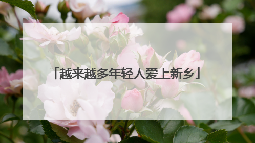 越来越多年轻人爱上新乡