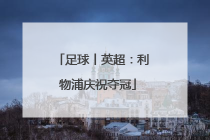 足球丨英超：利物浦庆祝夺冠