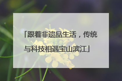 跟着非遗品生活，传统与科技相遇宝山滨江