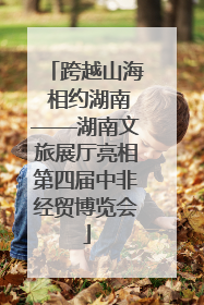 跨越山海 相约湖南——湖南文旅展厅亮相第四届中非经贸博览会