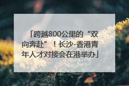 跨越800公里的“双向奔赴”！长沙-香港青年人才对接会在港举办