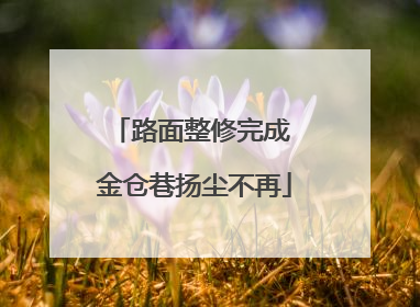 路面整修完成 金仓巷扬尘不再