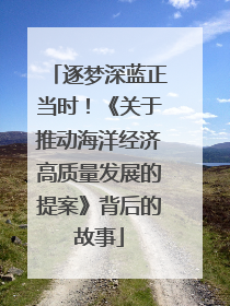 逐梦深蓝正当时！《关于推动海洋经济高质量发展的提案》背后的故事
