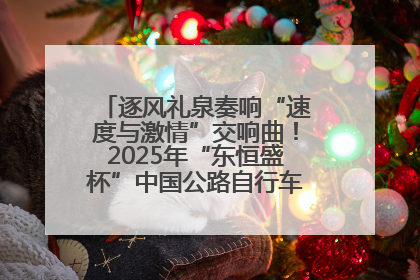 逐风礼泉奏响“速度与激情”交响曲！2025年“东恒盛杯”中国公路自行车联赛第五站（陕西·礼泉站）正式开赛
