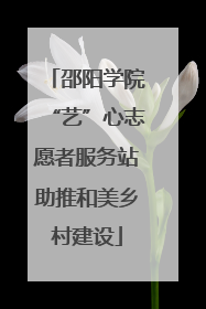 邵阳学院“艺”心志愿者服务站助推和美乡村建设