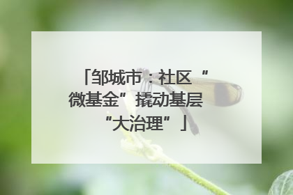 邹城市：社区“微基金”撬动基层“大治理”