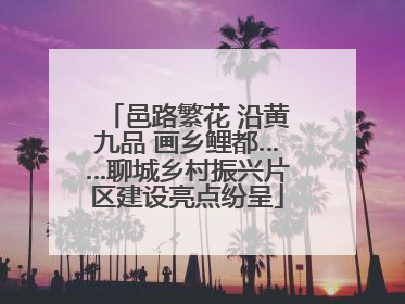 邑路繁花 沿黄九品 画乡鲤都……聊城乡村振兴片区建设亮点纷呈