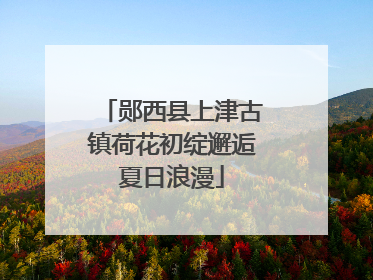 郧西县上津古镇荷花初绽邂逅夏日浪漫