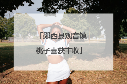 郧西县观音镇桃子喜获丰收
