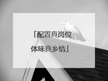 配置真岗位 体味真乡情