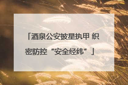 酒泉公安披星执甲 织密防控“安全经纬”
