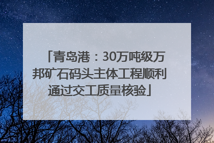 青岛港：30万吨级万邦矿石码头主体工程顺利通过交工质量核验