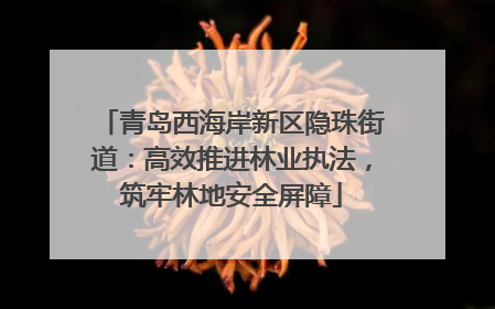青岛西海岸新区隐珠街道：高效推进林业执法，筑牢林地安全屏障