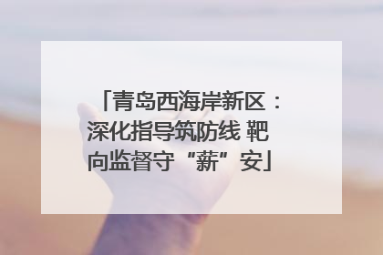 青岛西海岸新区：深化指导筑防线 靶向监督守“薪”安