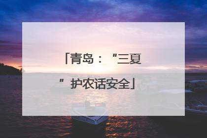 青岛：“三夏”护农话安全