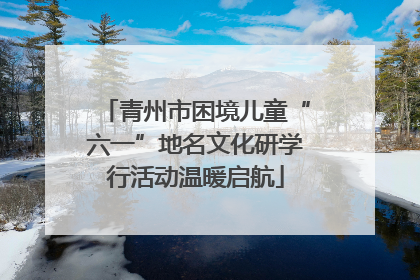 青州市困境儿童“六一”地名文化研学行活动温暖启航