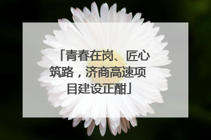 青春在岗、匠心筑路，济商高速项目建设正酣