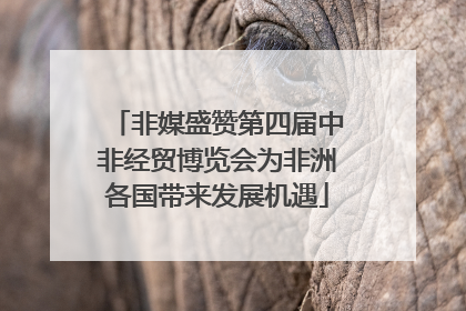 非媒盛赞第四届中非经贸博览会为非洲各国带来发展机遇