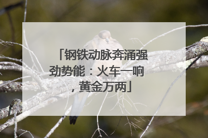 钢铁动脉奔涌强劲势能：火车一响，黄金万两