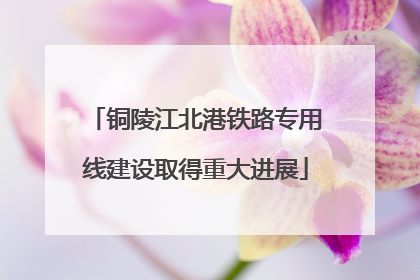 铜陵江北港铁路专用线建设取得重大进展