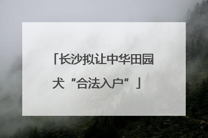 长沙拟让中华田园犬“合法入户”