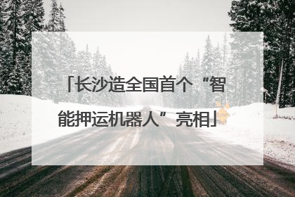 长沙造全国首个“智能押运机器人”亮相