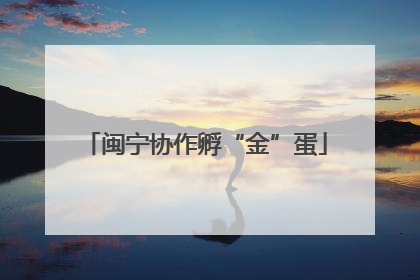 闽宁协作孵“金”蛋