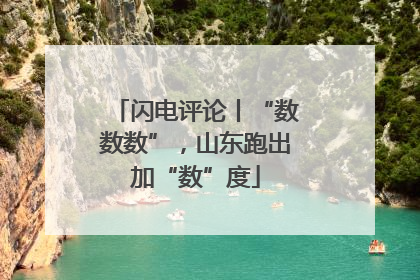 闪电评论丨“数数数”，山东跑出加“数”度