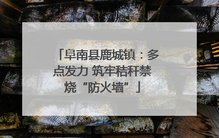 阜南县鹿城镇：多点发力 筑牢秸秆禁烧“防火墙”