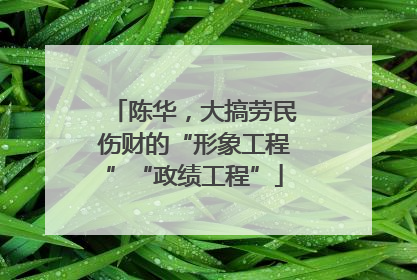 陈华，大搞劳民伤财的“形象工程”“政绩工程”
