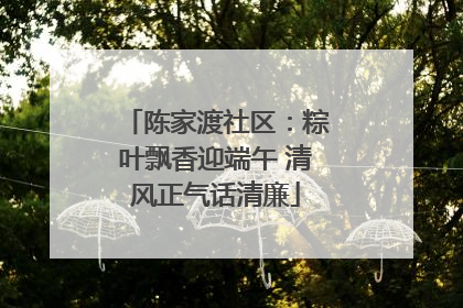 陈家渡社区：粽叶飘香迎端午 清风正气话清廉