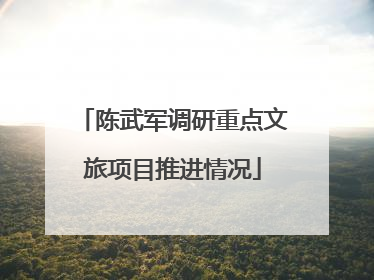 陈武军调研重点文旅项目推进情况