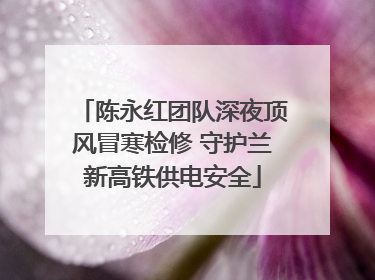 陈永红团队深夜顶风冒寒检修 守护兰新高铁供电安全