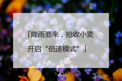 降雨要来，抢收小麦开启“倍速模式”