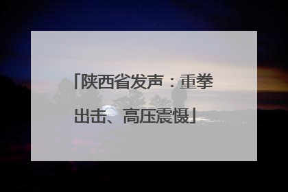 陕西省发声：重拳出击、高压震慑