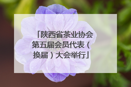 陕西省茶业协会第五届会员代表（换届）大会举行